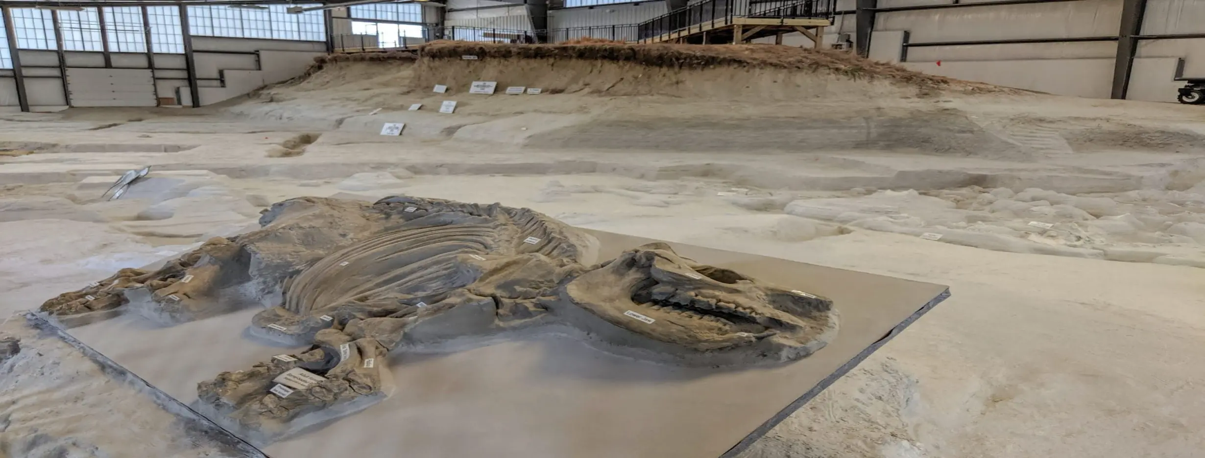 Image for Ashfall Fossil Beds